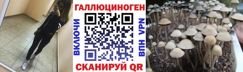 Галлюциногенные грибы ЛСД  Липецк 